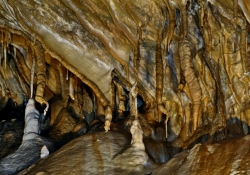 2009_08_1185_jaskinia-niedzwiedzia