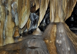 2016_05_9021_jaskinia-niedzwiedzia