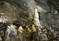 2009_05_0388_jaskinia-niedzwiedzia