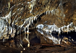 2009_05_0436_jaskinia-niedzwiedzia