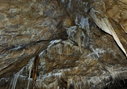 2016_05_9072_jaskinia-niedzwiedzia