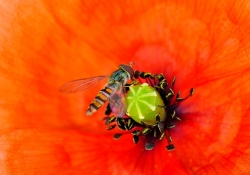 2011_07_3907_ow