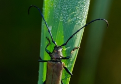 2013_07_6357_ow