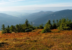 2010_10_2820_spk